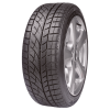Evergreen  255/40/19  100V  EW66